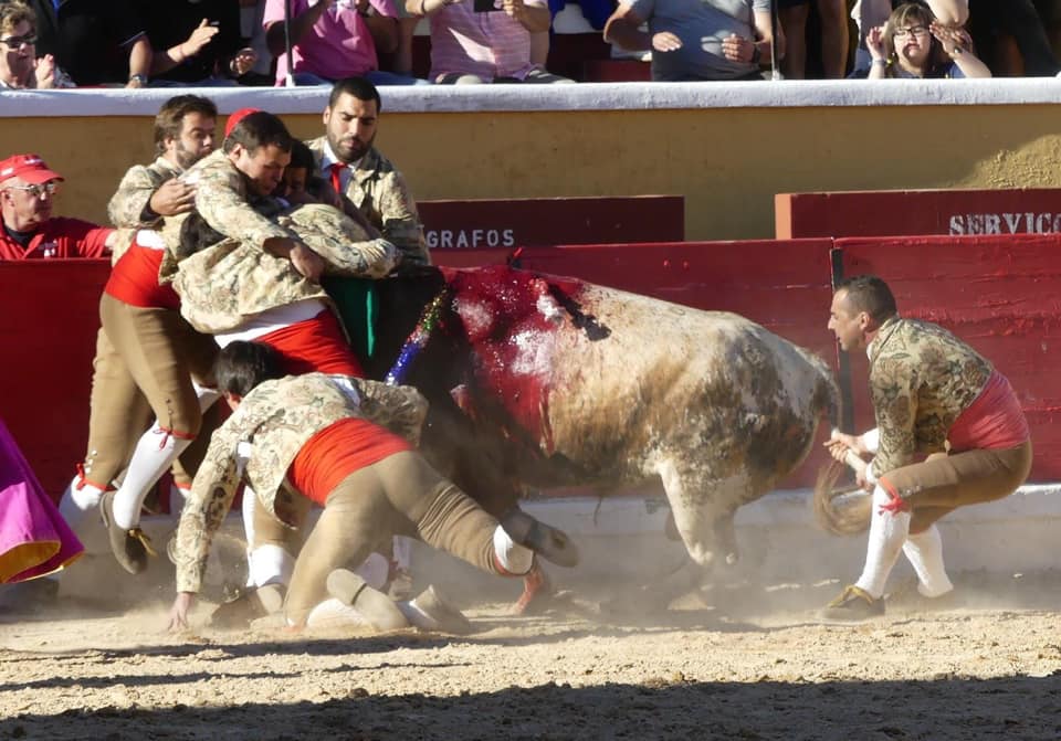 Forcados cancelam protesto nacional para este sábado