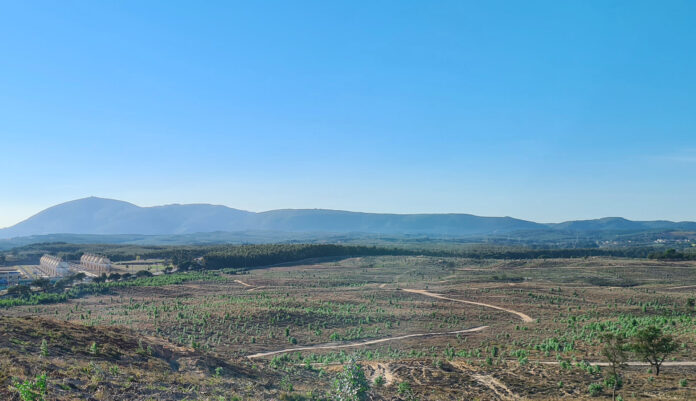 Neoen_TORrE BELA RIO MAIOR_solar Neoen_TORrE BELA RIO MAIOR_solar
