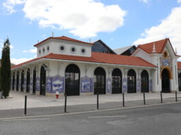 Mercado Municipal Santarém 2023