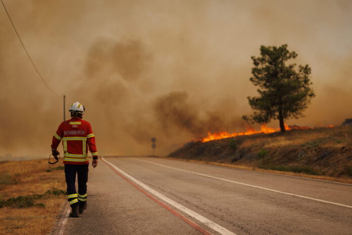 Wildfires in Portugal Um bombeiro caminha numa estrada durante um incêndio florestal em Granjal, Sernancelhe, Viseu, Portugal, em 14 de agosto de 2025. O incêndio, que começou na madrugada de 13 de agosto em Satao, no distrito de Viseu, alastrou-se aos distritos de Sernancelhe (Viseu) e Aguiar da Beira (Guarda) e continua a alastrar sem possibilidade de intervenção direta, segundo o comandante no local. EPA/PEDRO SARMENTO COSTA